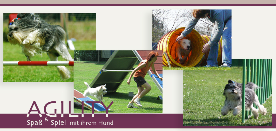 Agility
