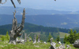 St. Anna Brendl